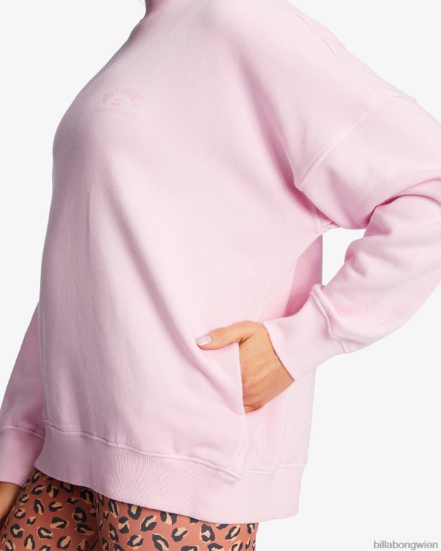 Billabong Clothing 00V682177 | Billabong a/div Canyon Stehkragen-Sweatshirt Rosa Spuren Frauen