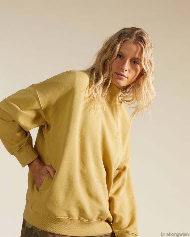 Billabong Clothing 00V682243 | Billabong a/div Canyon Stehkragen-Sweatshirt Wüstensalbei Frauen