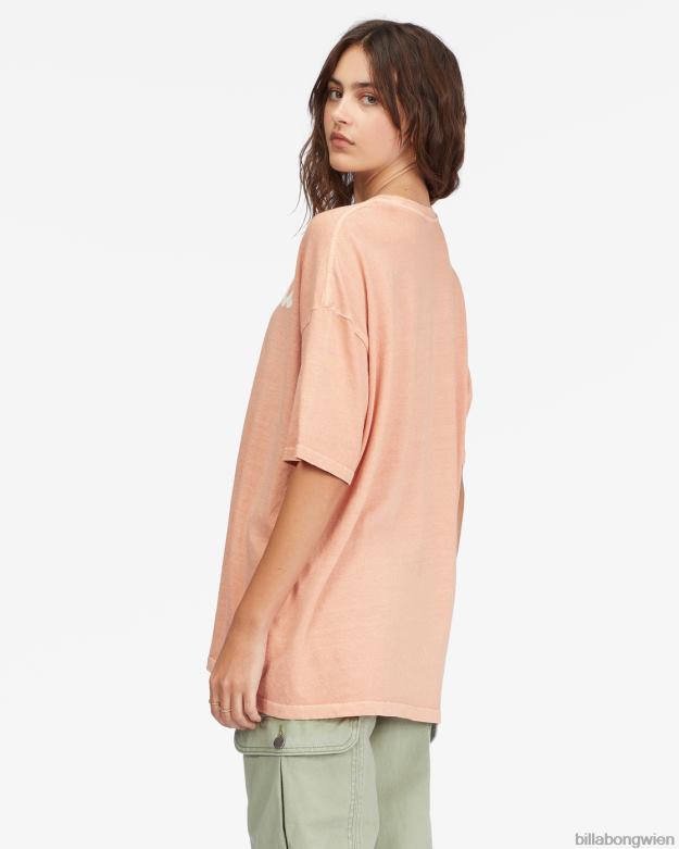 Billabong Clothing 00V682271 | Billabong Land der Milch und des Honigs Freund-T-Shirt Steinrose Frauen