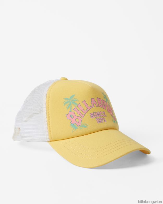 Billabong Wien 00V682402 | Billabong Aloha für immer Fernlastfahrerhut Sonnenstrahl Frauen