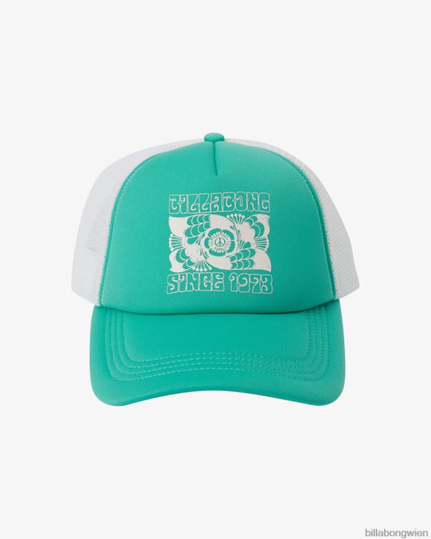 Billabong Wien 00V682470 | Billabong über Wellen-Fernlastfahrerhut süßes Gras Frauen