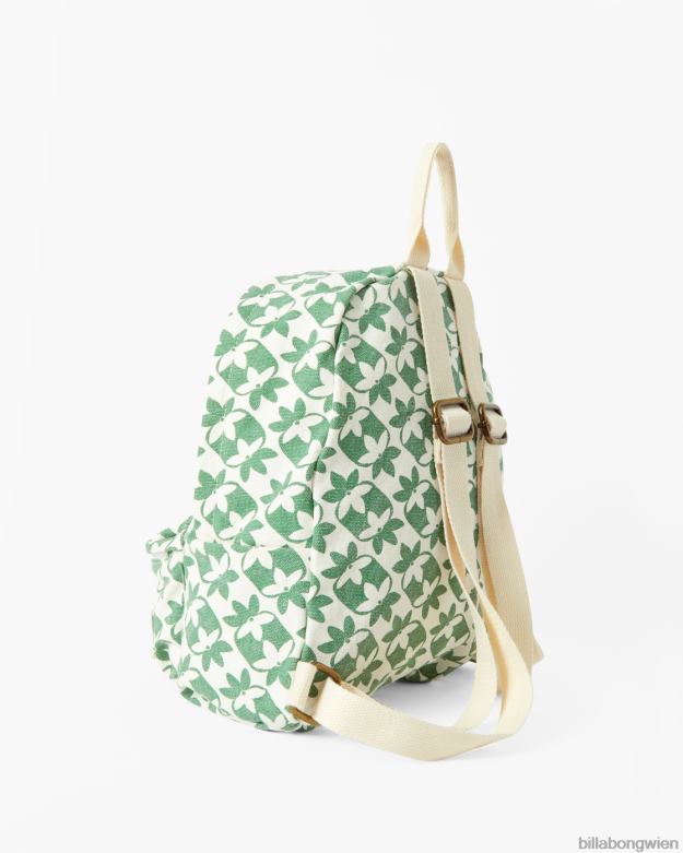 Billabong Wien 00V682472 | Billabong Mini-Mama-Canvas-Rucksack süßes Gras Frauen