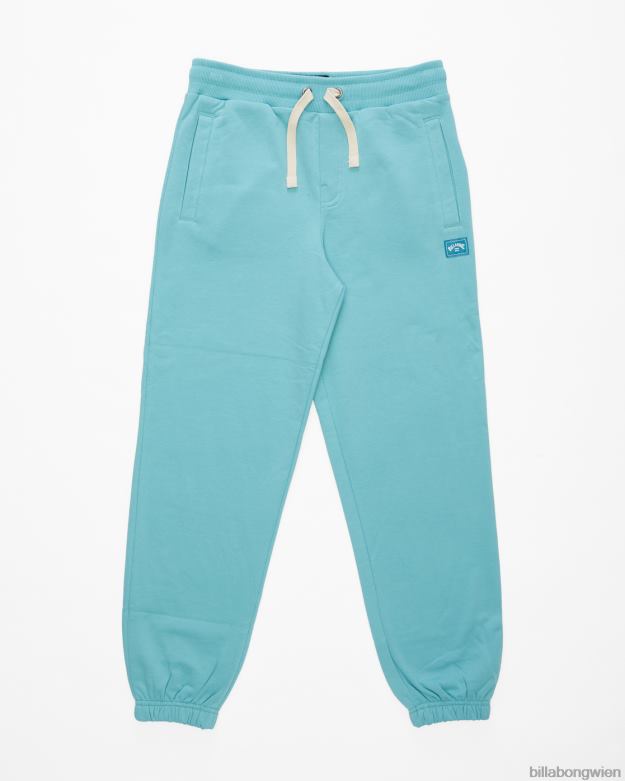 Billabong Clothing 00V681059 | Billabong Jogginghose für den ganzen Tag staubiges Blau Jungs