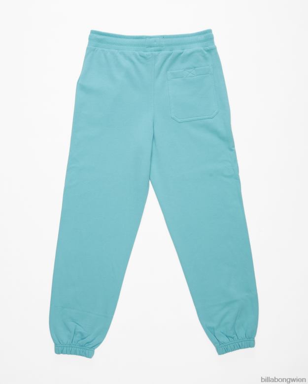 Billabong Clothing 00V681059 | Billabong Jogginghose für den ganzen Tag staubiges Blau Jungs