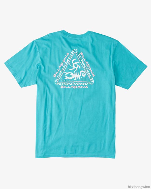 Billabong Clothing 00V681034 | Billabong großes Märchen-T-Shirt blaugrün Jungs