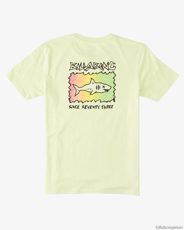 Billabong Clothing 00V681048 | Billabong Hai-T-Shirt hellgrün Jungs