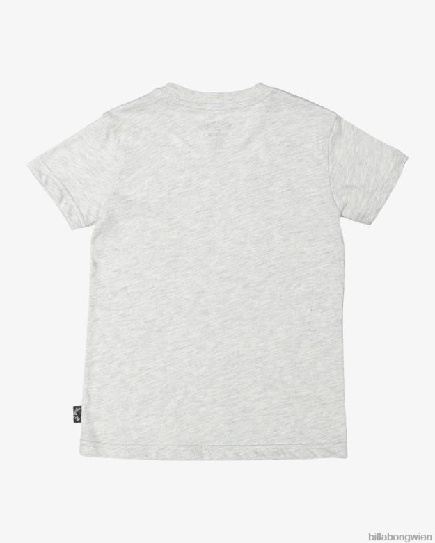 Billabong Clothing 00V681064 | Billabong (2-7) Groms Diamond Wave Kurzarm-T-Shirt hellgraues Heidekraut Jungs
