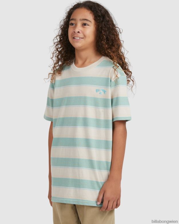 Billabong Clothing 00V681065 | Billabong Kurzarm-T-Shirt mit Hector-Streifen Chino Jungs