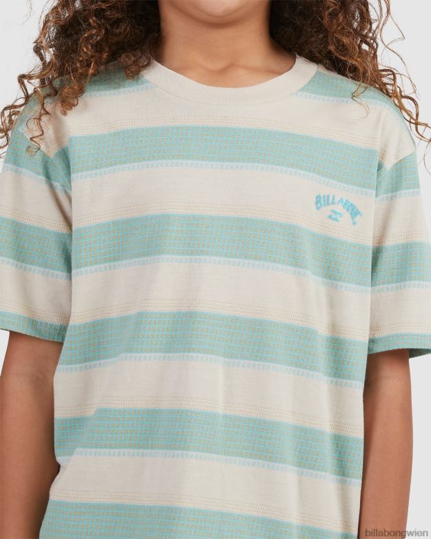 Billabong Clothing 00V681065 | Billabong Kurzarm-T-Shirt mit Hector-Streifen Chino Jungs