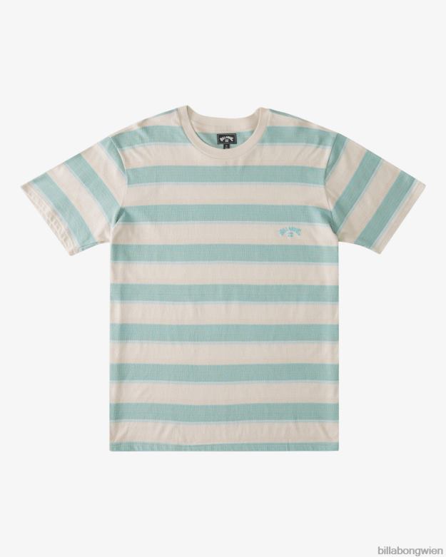 Billabong Clothing 00V681065 | Billabong Kurzarm-T-Shirt mit Hector-Streifen Chino Jungs